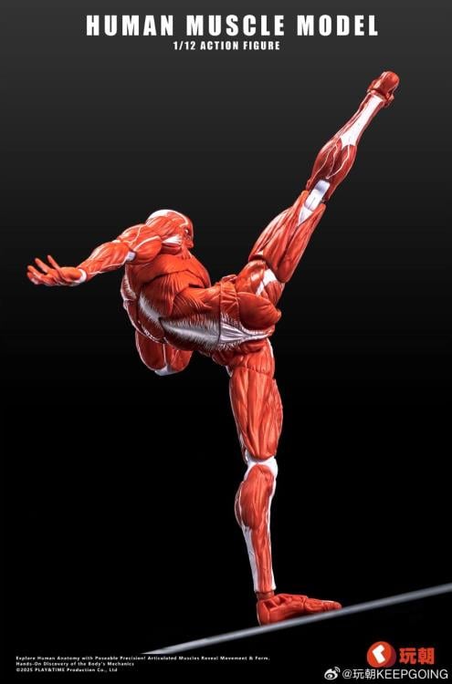 Human Muscle Man (Red Ver.) 1/12 Scale Action Figure Gallery Image 5