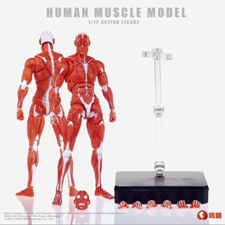 Human Muscle Man (Red Ver.) 1/12 Scale Action Figure Gallery Image 7