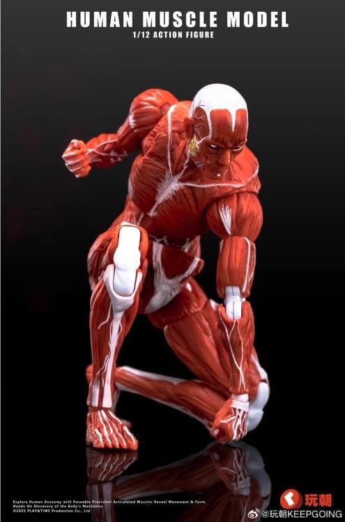 Human Muscle Man (Red Ver.) 1/12 Scale Action Figure Gallery Image 6