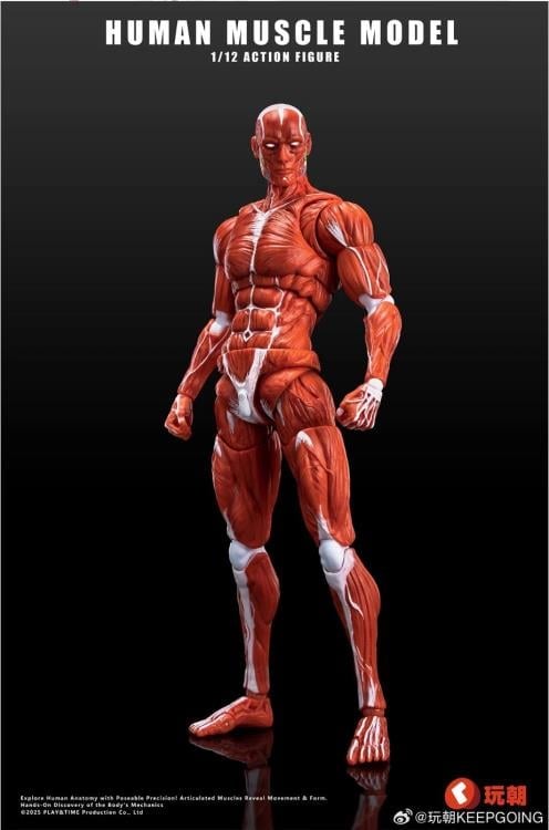 Human Muscle Man (Red Ver.) 1/12 Scale Action Figure Gallery Image 3