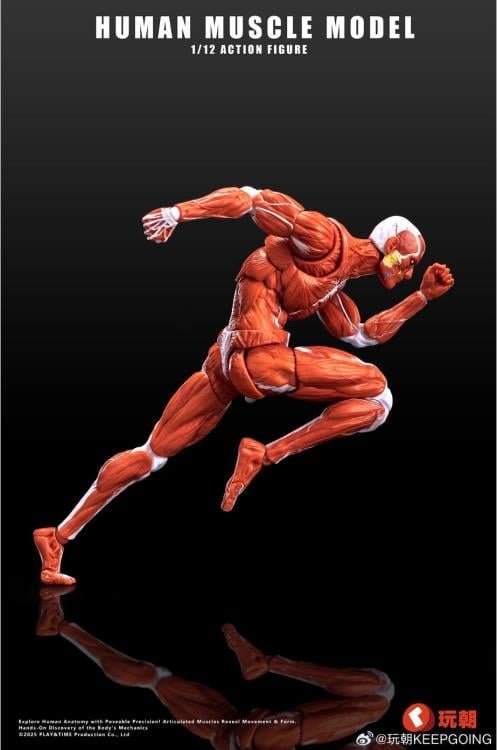 Human Muscle Man (Red Ver.) 1/12 Scale Action Figure Gallery Image 4