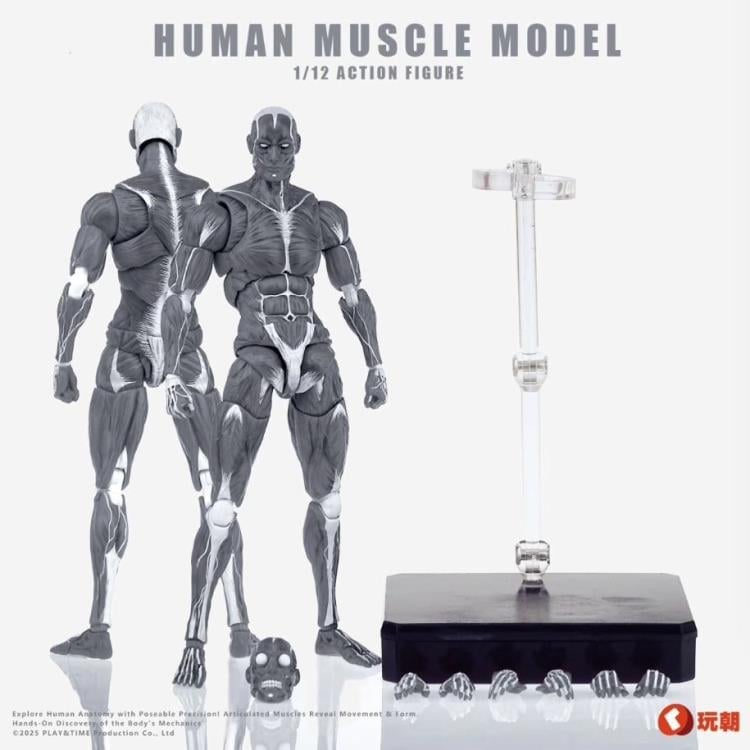 Human Muscle Man (Gray Ver.) 1/12 Scale Action Figure Gallery Image 5