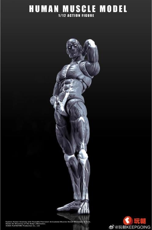 Human Muscle Man (Gray Ver.) 1/12 Scale Action Figure Gallery Image 3
