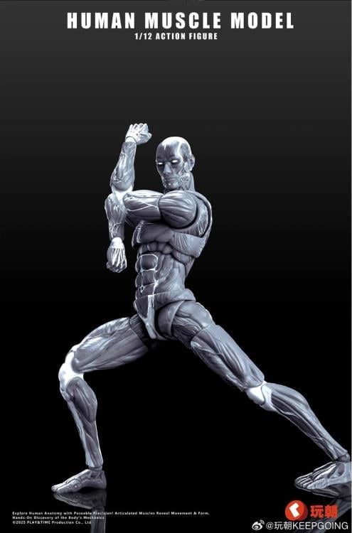 Human Muscle Man (Gray Ver.) 1/12 Scale Action Figure Gallery Image 4