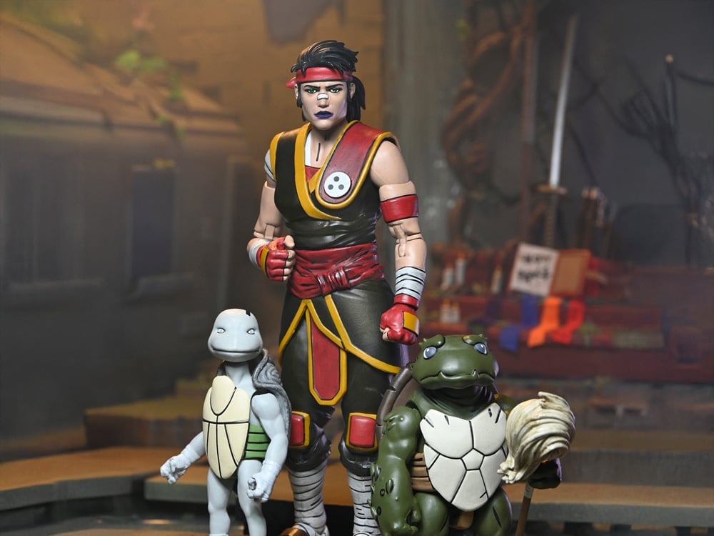 Teenage Mutant Ninja Turtles: The Last Ronin - The Lost Years