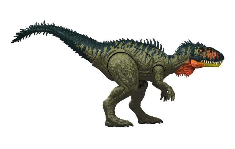 チランジア　REX 6