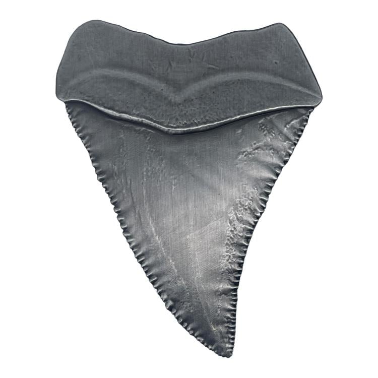 Jaws 50th Anniversary Shark Tooth Limited Edition Medallion Gallery Image 8
