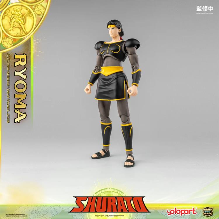 Legend of Heavenly Sphere Shurato AMK Pro X Ryoma Model Kit Gallery Image 19