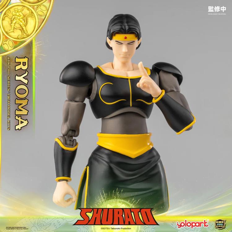 Legend of Heavenly Sphere Shurato AMK Pro X Ryoma Model Kit Gallery Image 24