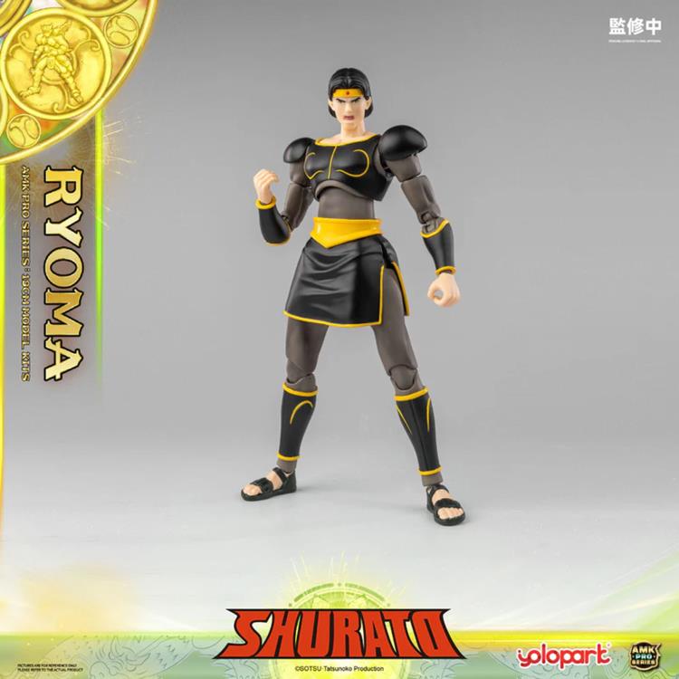 Legend of Heavenly Sphere Shurato AMK Pro X Ryoma Model Kit Gallery Image 23
