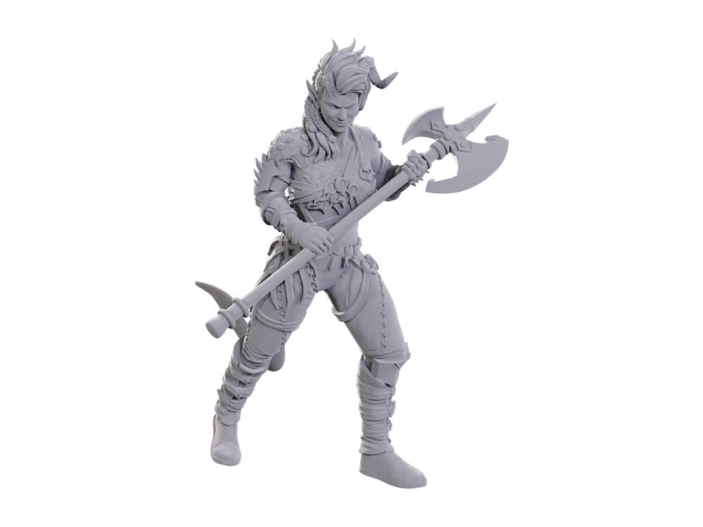 Dungeons & Dragons Nolzur's Marvelous Miniatures Special Edition Baldur's Gate 3: Wyll & Karlach Gallery Image 4