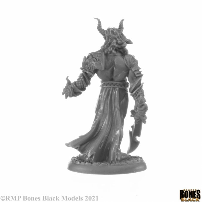 Reaper Bones Black Elemental Scions Miniatures Set Gallery Image 17