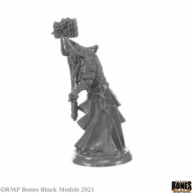 Reaper Bones Black Elemental Scions Miniatures Set Gallery Image 6