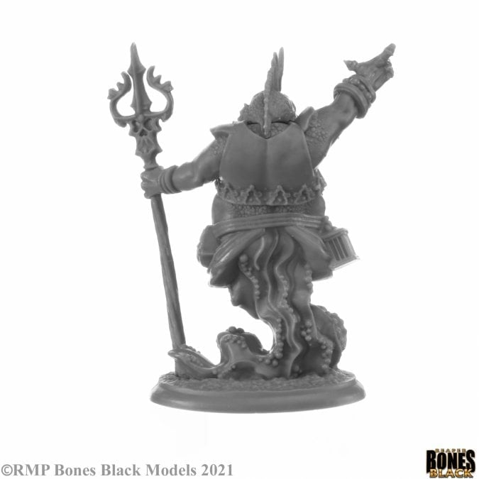 Reaper Bones Black Elemental Scions Miniatures Set Gallery Image 13