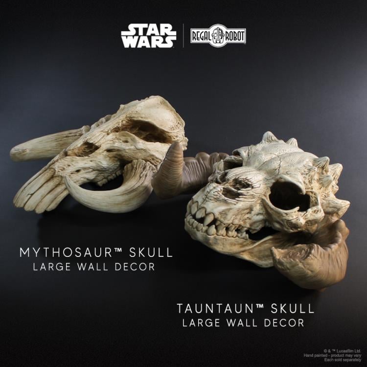 Star Wars: The Empire Strikes Back Tauntaun Skull Wall Decor Gallery Image 15