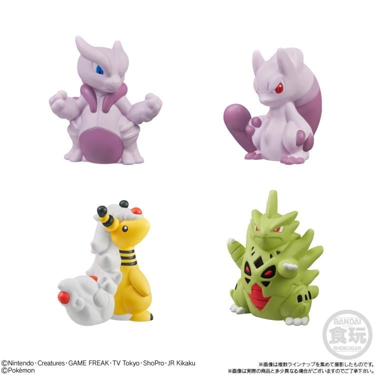 ナッシー様)ギムノカリキウム　エリナセウムとシッケンダンツィーフルセット+おまけ Pokemon Kids Mega Mewtwo X & Mega Mewtwo Y Edition Box of 21
