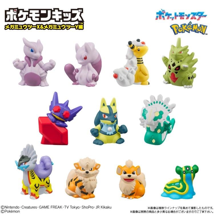 イーブイカビゴン✖️2ミュウミュウマーシャドーカイリキーカメックスポッチャマヤドン Pokemon Kids Mega Mewtwo X & Mega Mewtwo Y Edition Box of 21