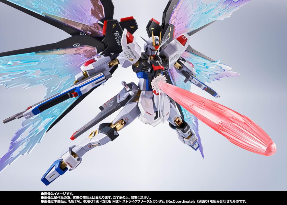 Mobile Suit Gundam SEED Destiny Metal Robot Spirits Wings of Light
