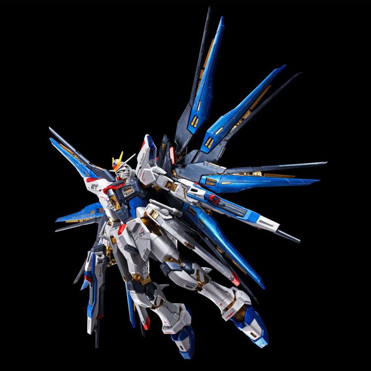 Mobile Suit Gundam SEED Destiny RG Strike Freedom Gundam (Titanium Finish) 1/144 Scale Model Kit (Reissue) Gallery Image 6