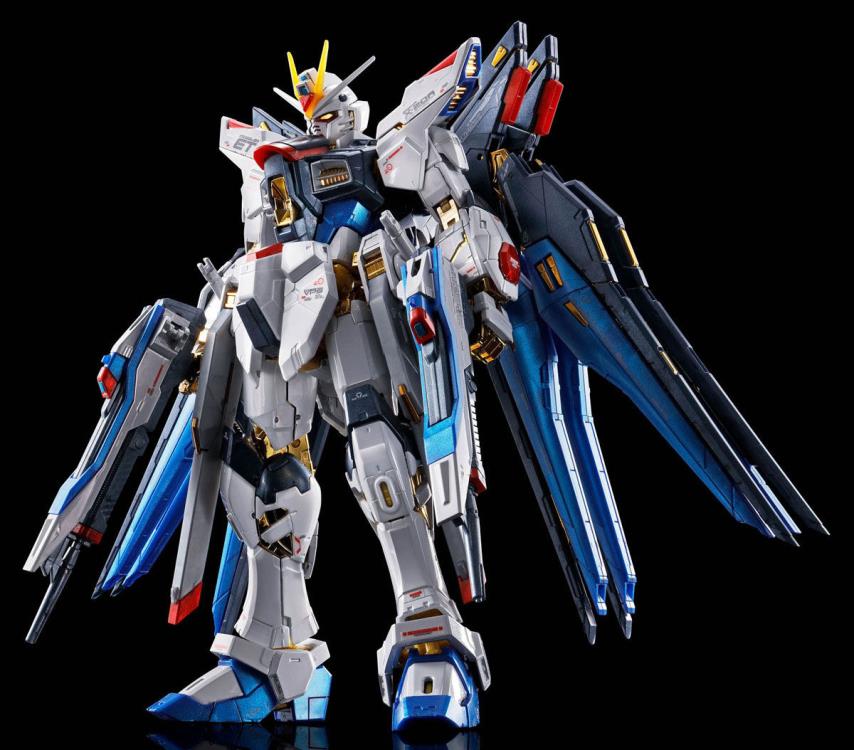 Mobile Suit Gundam SEED Destiny RG Strike Freedom Gundam (Titanium Finish) 1/144 Scale Model Kit (Reissue) Gallery Image 4