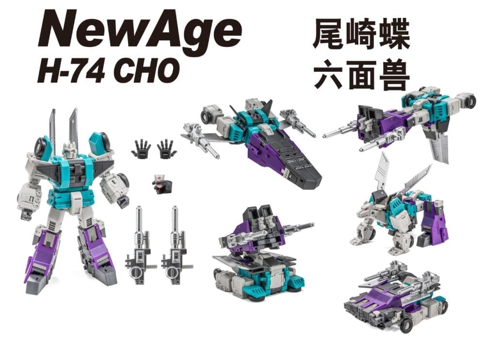 NA H74 Cho Gallery Image 16