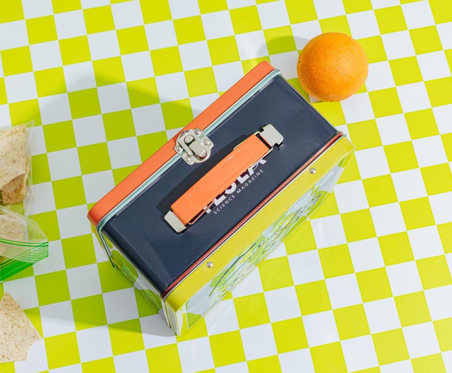 Fallout TESLA Science Magazine Tin Lunchbox Gallery Image 5