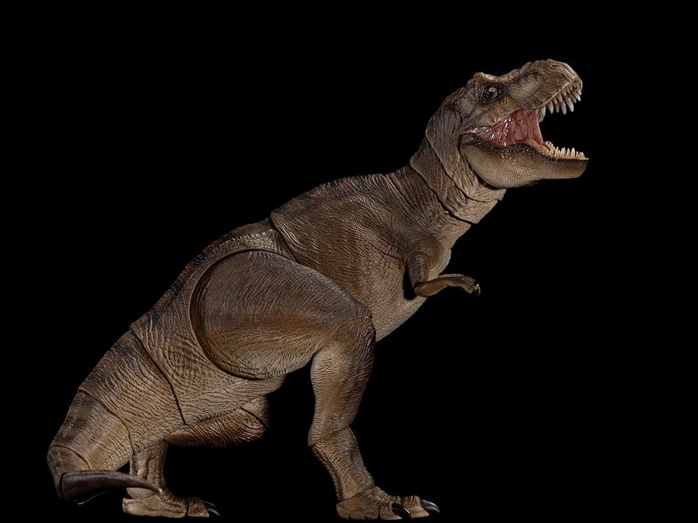 (スー)ANT★REX スー)ANT☆REXの通販 | NEXTGENINVESTING