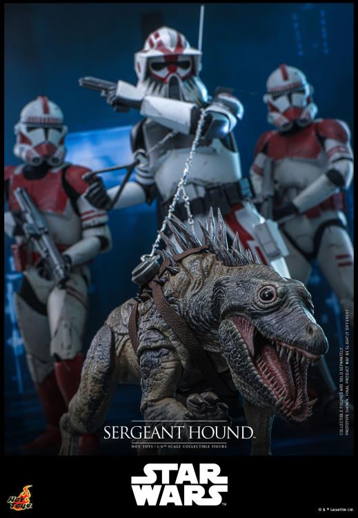 Star Wars: The Clone Wars TMS000 Sergeant Hound 1/6th Scale Collectible Figure Gallery Image 13