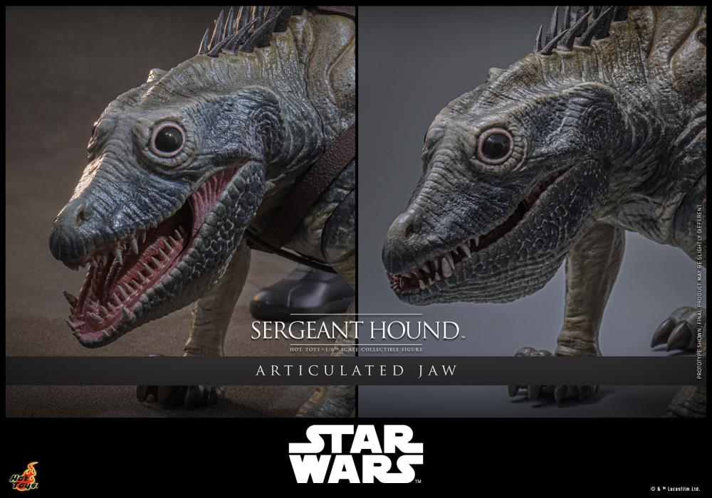Star Wars: The Clone Wars TMS000 Sergeant Hound 1/6th Scale Collectible Figure Gallery Image 21
