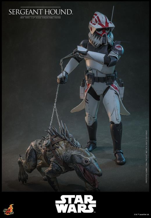 Star Wars: The Clone Wars TMS000 Sergeant Hound 1/6th Scale Collectible Figure Gallery Image 8