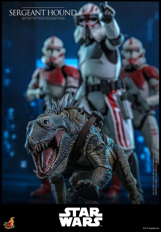 Star Wars: The Clone Wars TMS000 Sergeant Hound 1/6th Scale Collectible Figure Gallery Image 18