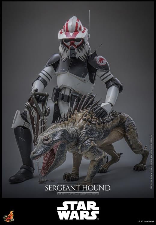 Star Wars: The Clone Wars TMS000 Sergeant Hound 1/6th Scale Collectible Figure Gallery Image 5