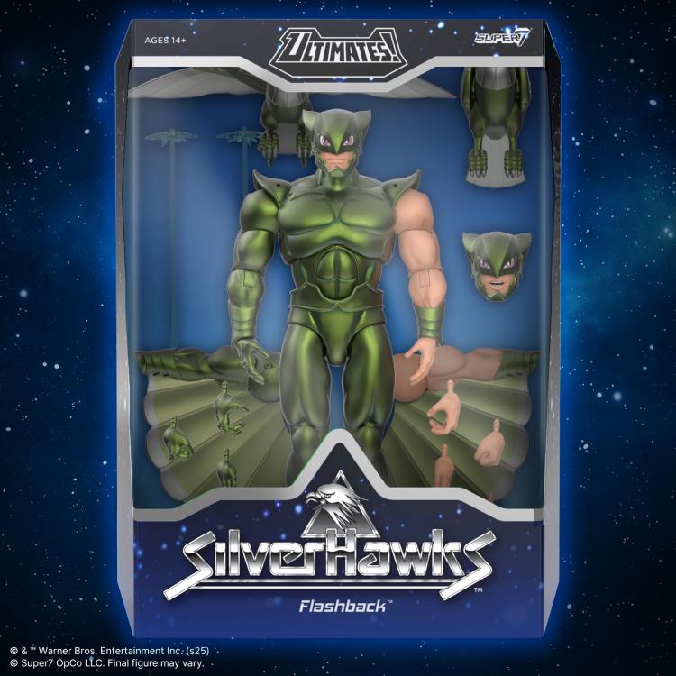 SilverHawks ULTIMATES! Flashback (Toon) Action Figure Gallery Image 5