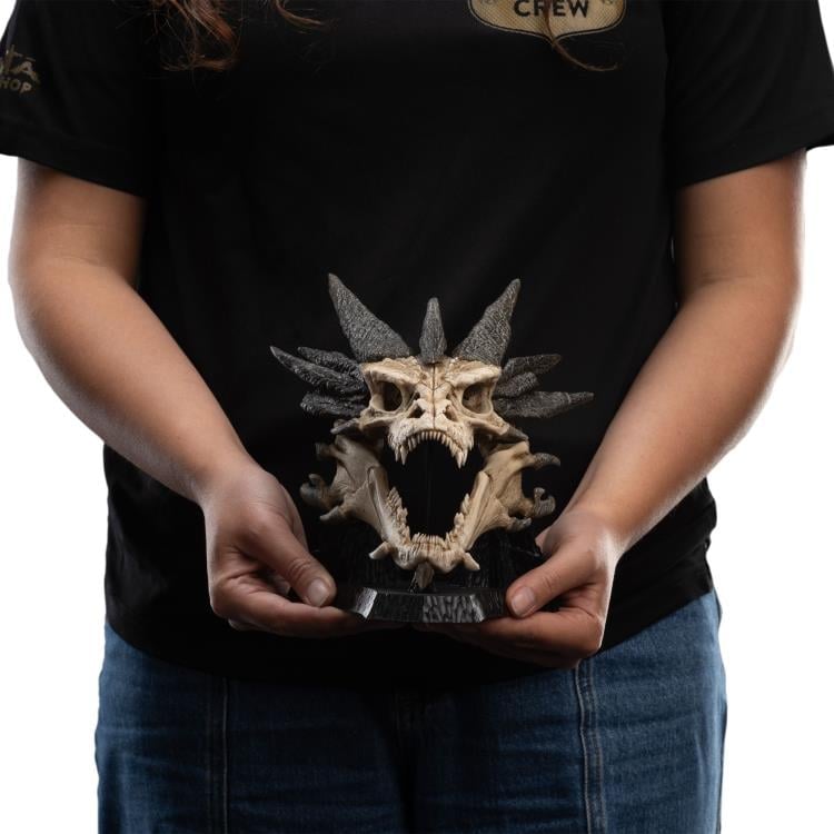 The Hobbit Smaug Miniature Skull Replica Gallery Image 18