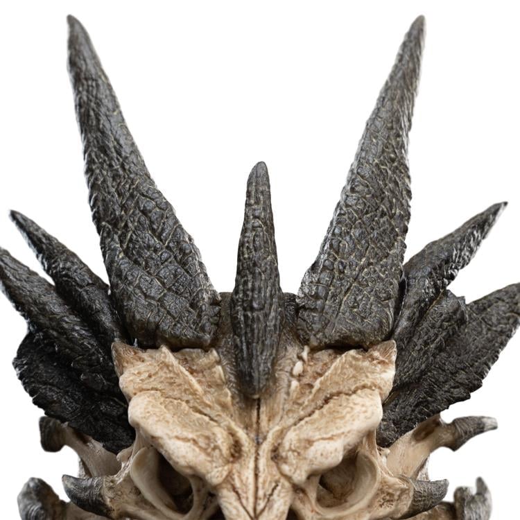The Hobbit Smaug Miniature Skull Replica Gallery Image 15