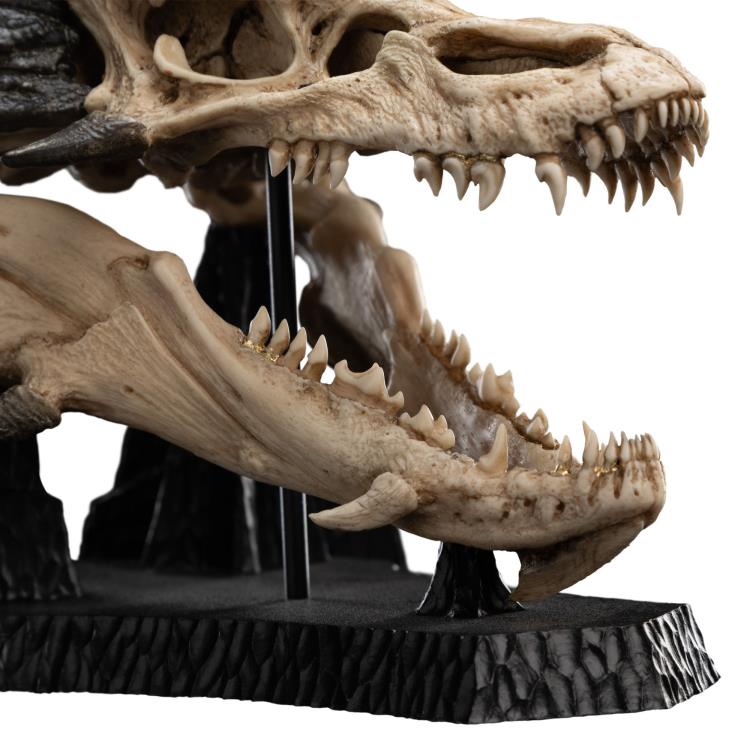 The Hobbit Smaug Miniature Skull Replica Gallery Image 17
