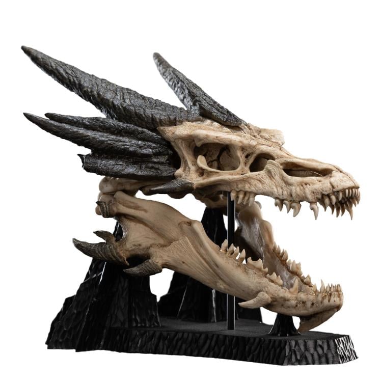 The Hobbit Smaug Miniature Skull Replica Gallery Image 4