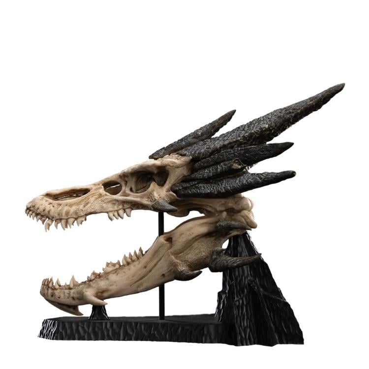 The Hobbit Smaug Miniature Skull Replica Gallery Image 11