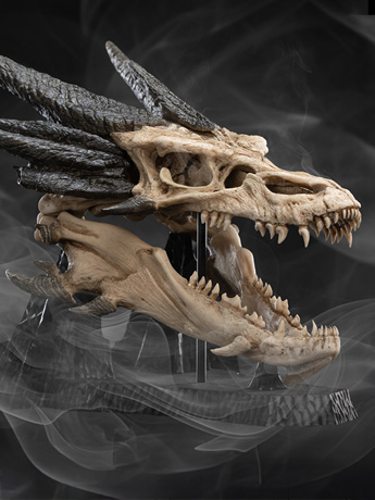 The Hobbit Smaug Miniature Skull Replica Gallery Image 2