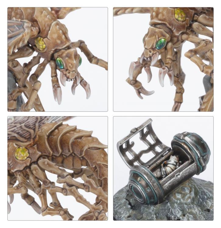 Necromunda Ash Waste Nomads Ashwing Helamites Citadel Miniatures Set Gallery Image 5