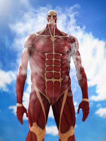 Attack on Titan Mega Sofvi MS021 Colossal Titan Figure Gallery Image 2