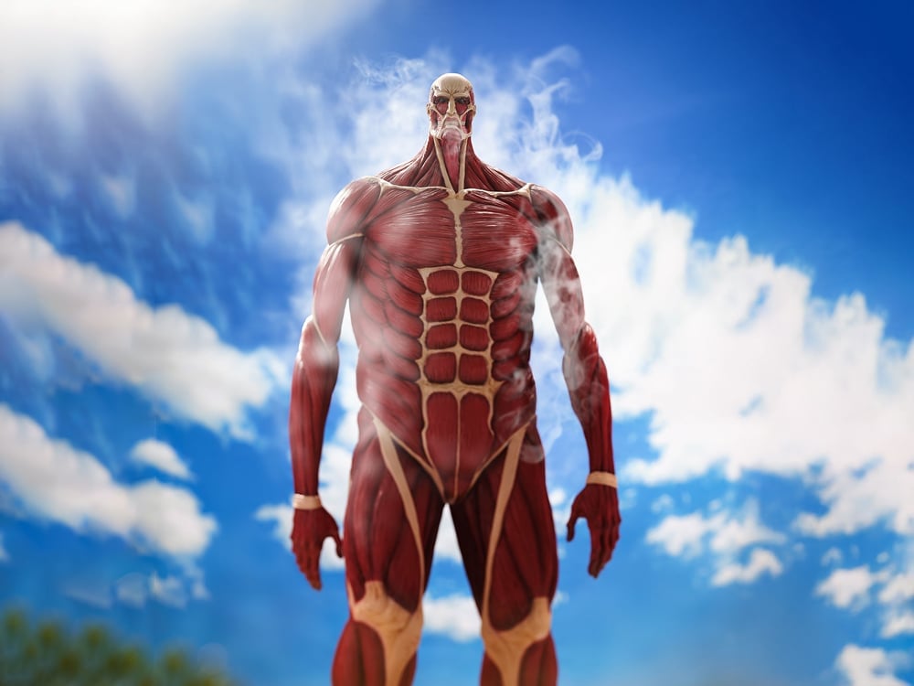 Attack on Titan Mega Sofvi MS021 Colossal Titan Figure Gallery Image 1