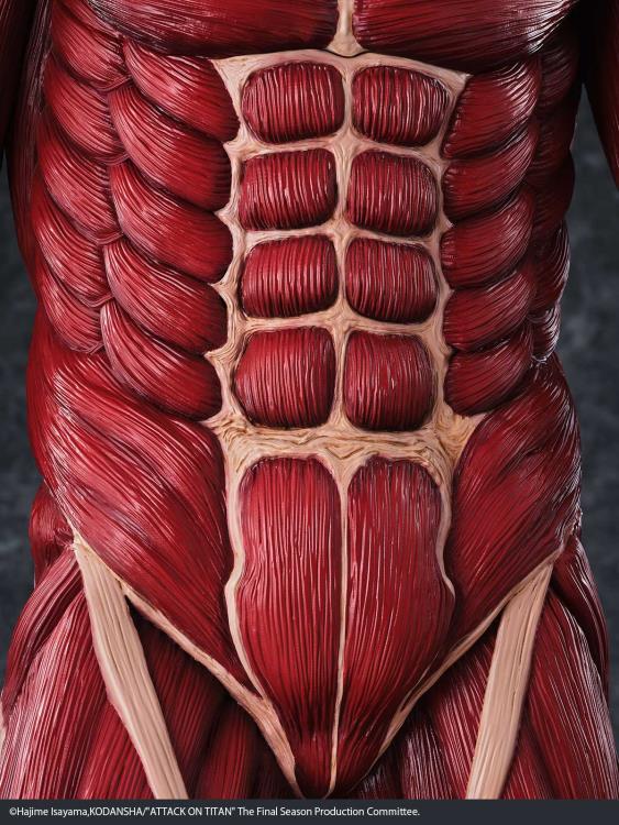 Attack on Titan Mega Sofvi MS021 Colossal Titan Figure Gallery Image 14