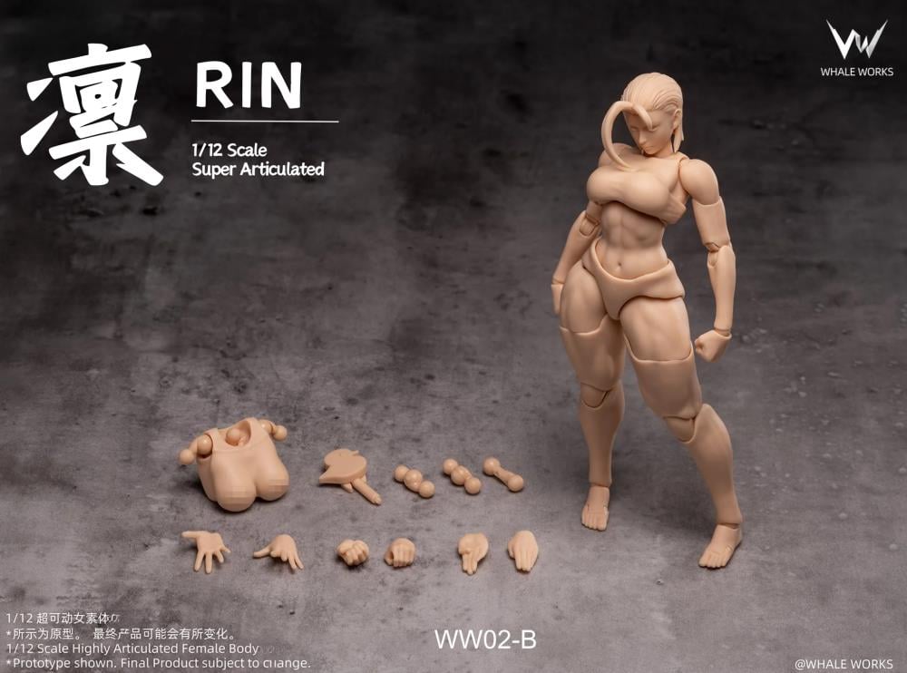 Whale Works WW02-B RIN 1/12 超可動女性素体 Rin (Ver. B) 1/12 Scale Blank Female Body