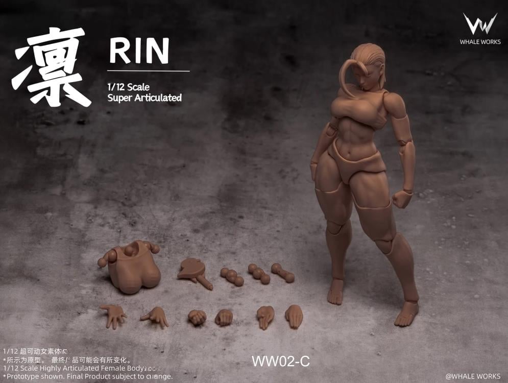 Rin (Ver. C) 1/12 Scale Blank Female Body Gallery Image 3