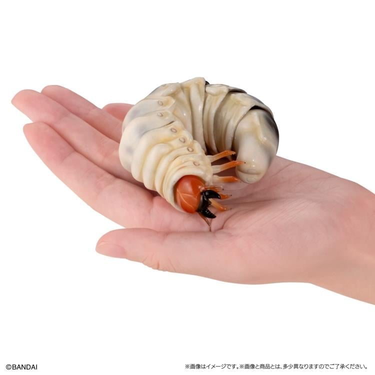 The Diversity of Life on Earth Stag Beetle 11 Bark Pedestal (Small