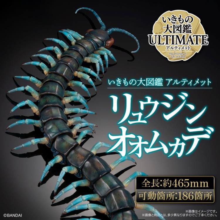 The Diversity of Life on Earth Ultimate Ryujin Giant Centipede