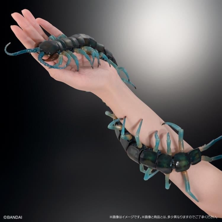 The Diversity of Life on Earth Ultimate Ryujin Giant Centipede
