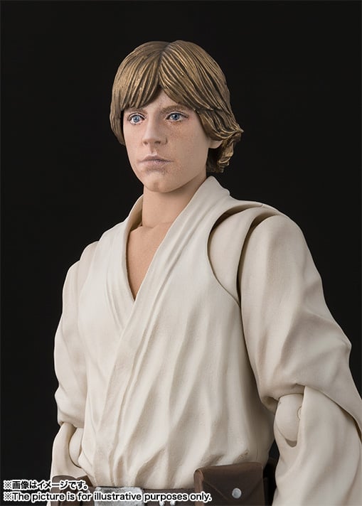 Star Wars: A New Hope S.H.Figuarts Luke Skywalker Gallery Image 3