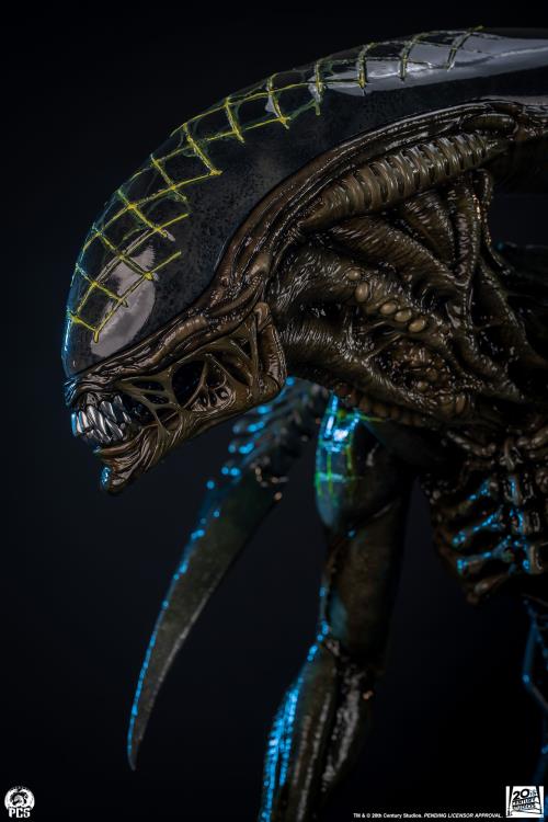 Alien vs. Predator Grid Alien 1/2 Scale Limited Edition Statue Gallery Image 14